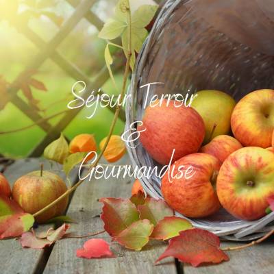 Offre spéciale - Séjour Terroir & Gourmandise du 6 novembre au 6 janvier 2024